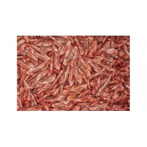 Kyllingevinger (FROST)