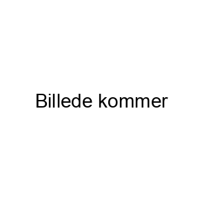 Halsbånd og liner