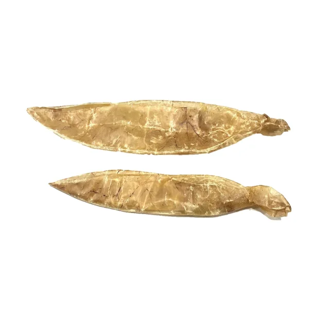 Kalveblre 30 cm