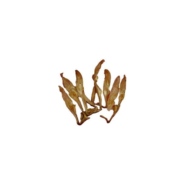 Kaninrer