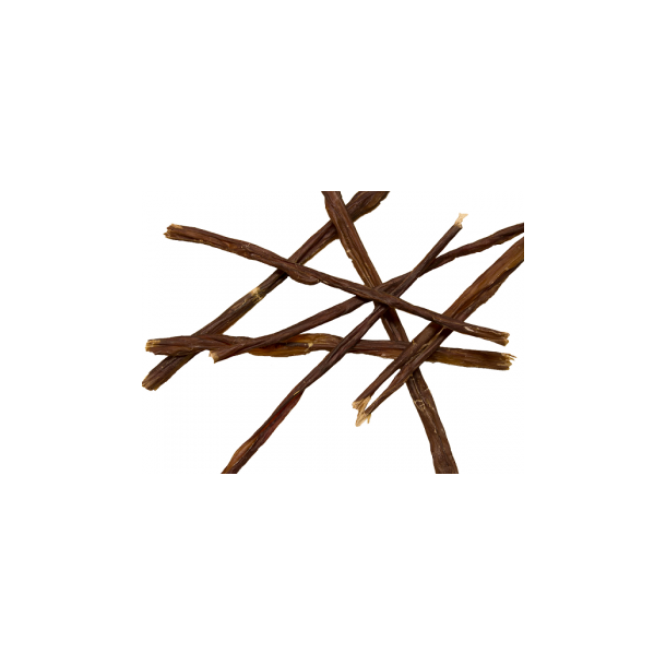 Hundespaghetti (svinetarme)