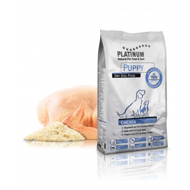 Platinum Puppy Platinum (hund) De sunde dyr