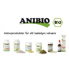 Vitaminer og mineraler